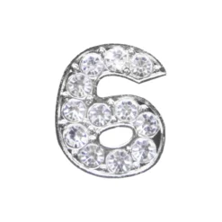 DRMZ 6 - Silver Rhinestone