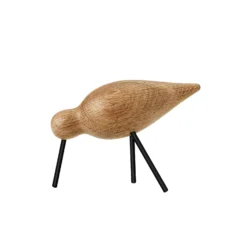 Fågel Shorebird Medium Ek