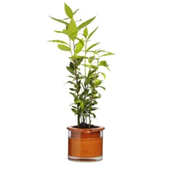 Kruka Wet Pot S