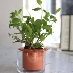 Kruka Wet Pot XS