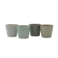 Mugg Dis 4-pack