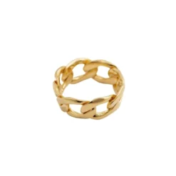 Ring Links Curb Chain Guld 18mm