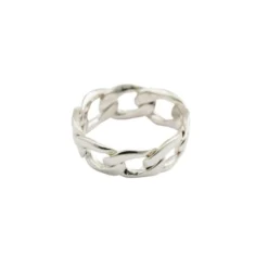 Ring Links Curb Chain Silver