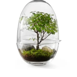 Växthus Grow Glas L