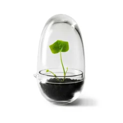 Växthus Grow Glas S